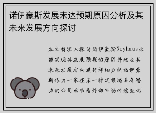 诺伊豪斯发展未达预期原因分析及其未来发展方向探讨 诺伊豪斯发展未达预期原因分析及其未来发展方向探讨